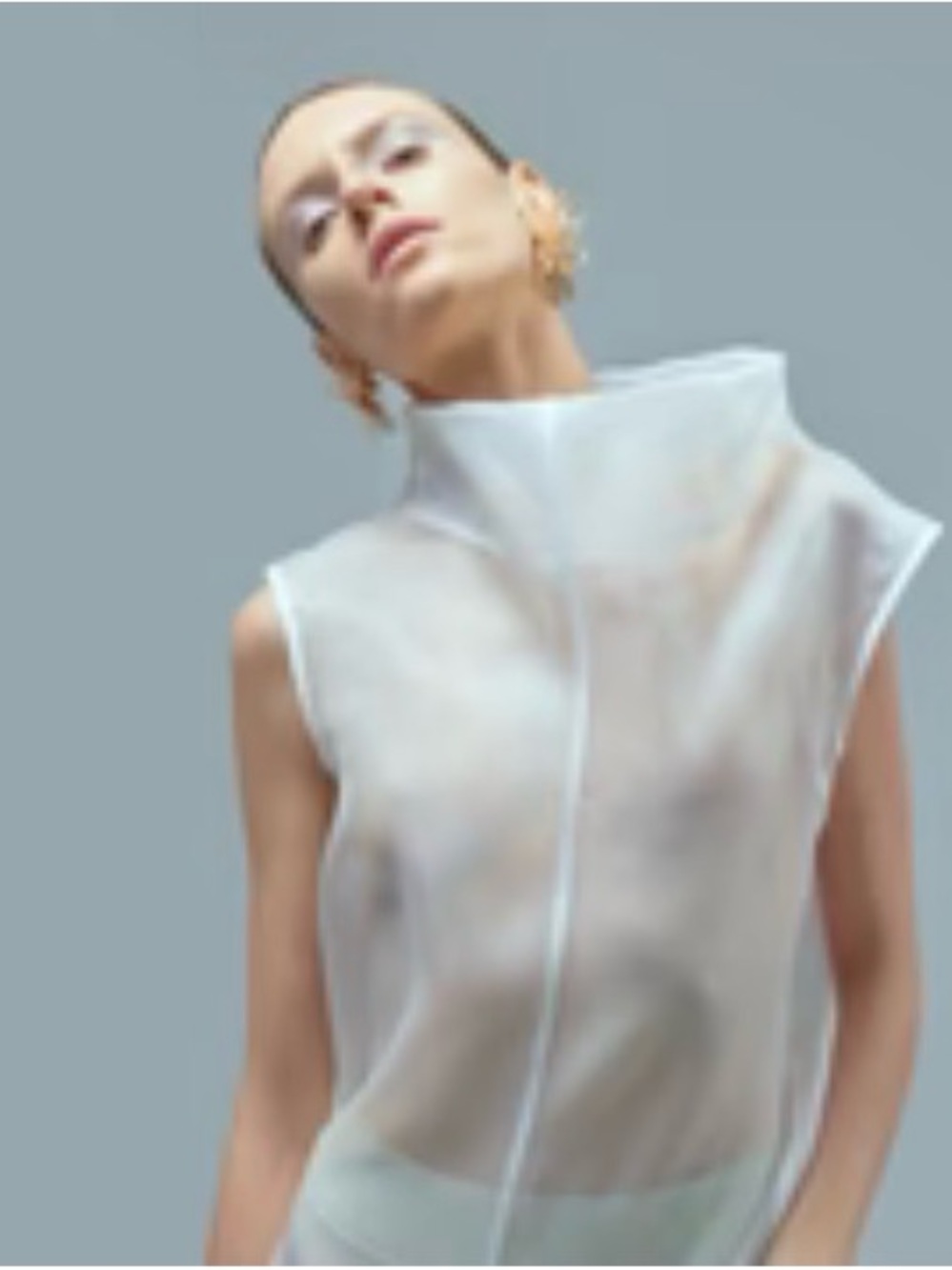 NWT Sheer High-Neck Sleeveless Blouse in Sheer White In package